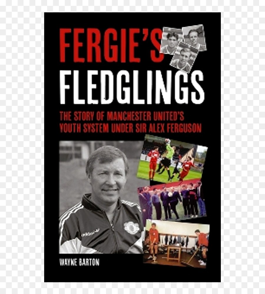 Fergies นกลูกเล็ก，เวย์น Barton PNG