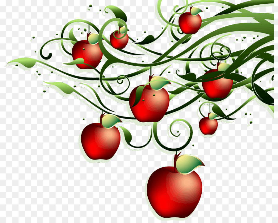 แอปเปิ้ล，สีแดงมะเขือเทศ Color PNG