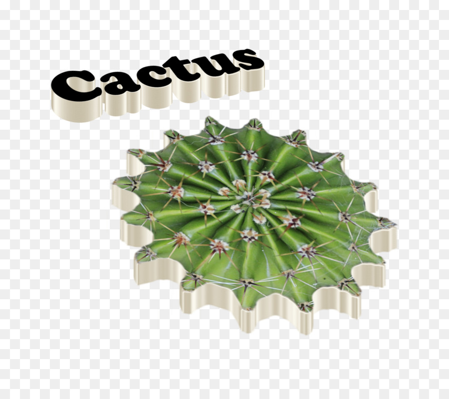 Cactaceae，โลโก้ PNG