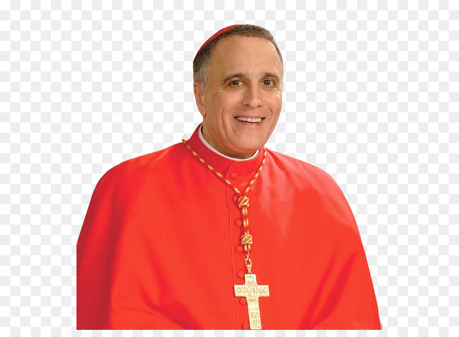 โรมันคาทอลิ Archdiocese ของ Galvestonhouston，แดเนียล Dinardo PNG