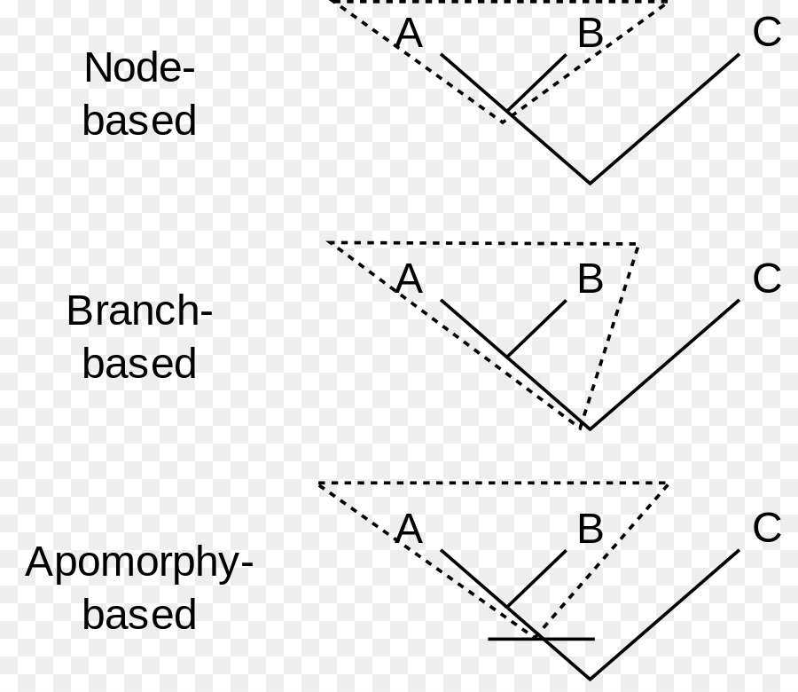 Clade，Synapomorphy และ Apomorphy PNG