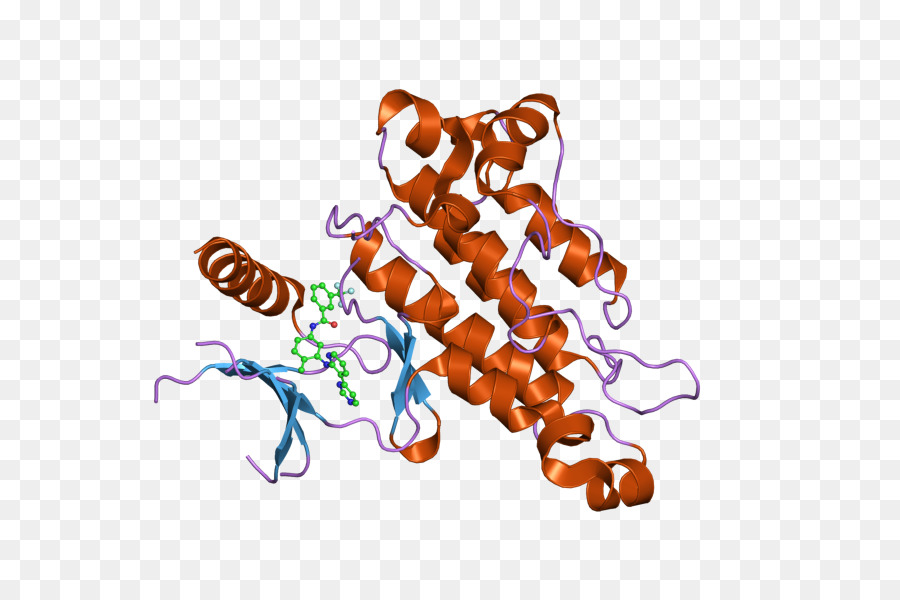 โครงสร้างโปรตีน，โมเลกุล PNG