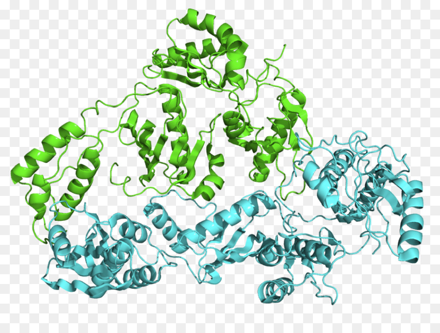โครงสร้างโปรตีน，โมเลกุล PNG