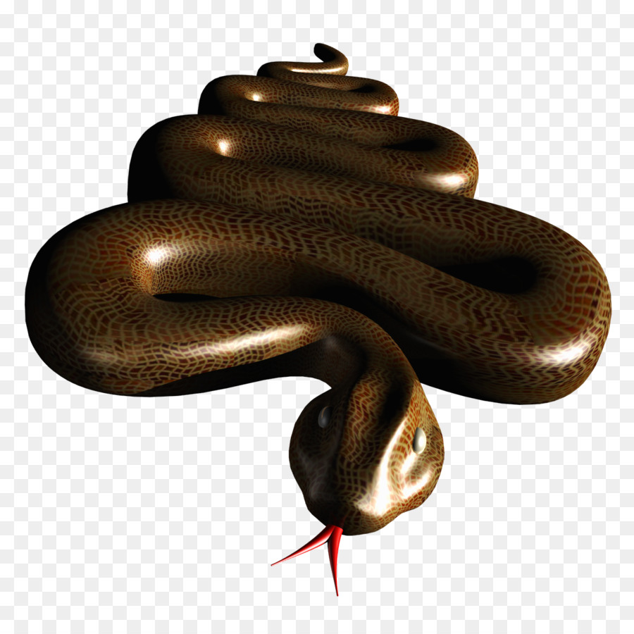 โบอา Constrictor，งู PNG