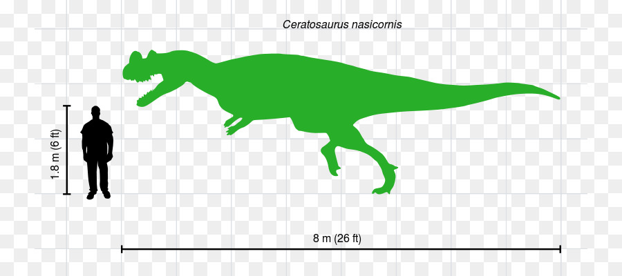 Ceratosaurus Nasicornis，ไดโนเสาร์ PNG