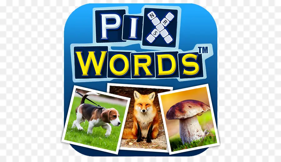 โลโก้ Pixwords，เกม PNG