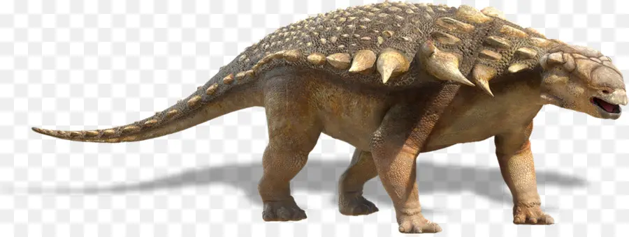 ไดโนเสาร์，Ankylosaurus PNG