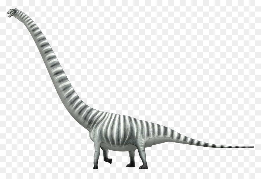 Mamenchisaurus，ไดโนเสาร์เต่าล้านปี PNG