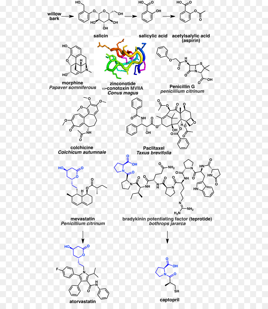 เป็นธรรมชาติผลิตภัณฑ์，ธรรมชาติ PNG