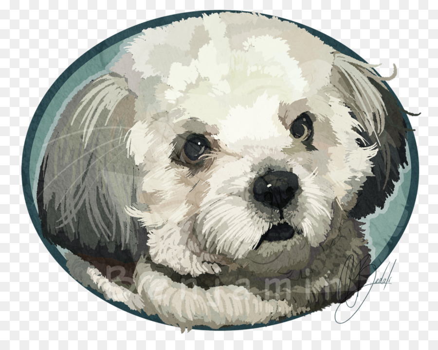 หมาของภาษามอลตีส Name，Havanese หมา PNG