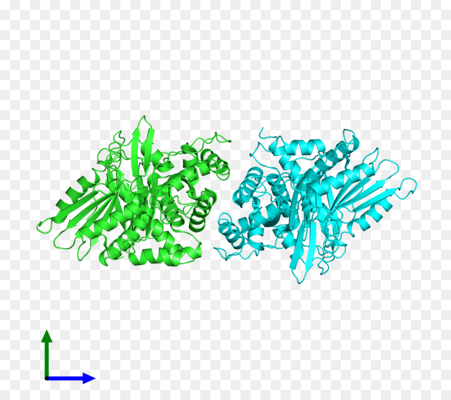 โลโก้，สีเขียว PNG