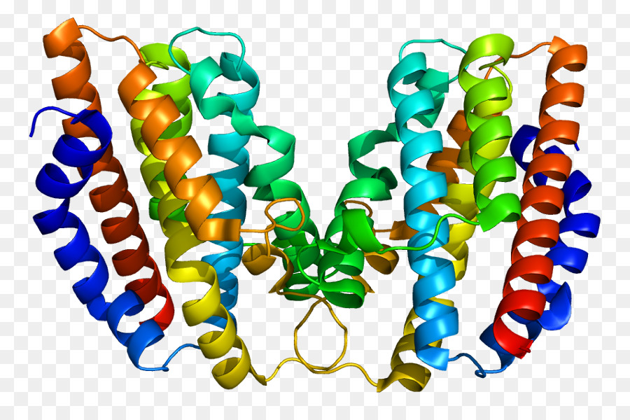 Hmox1，Heme Oxygenase PNG