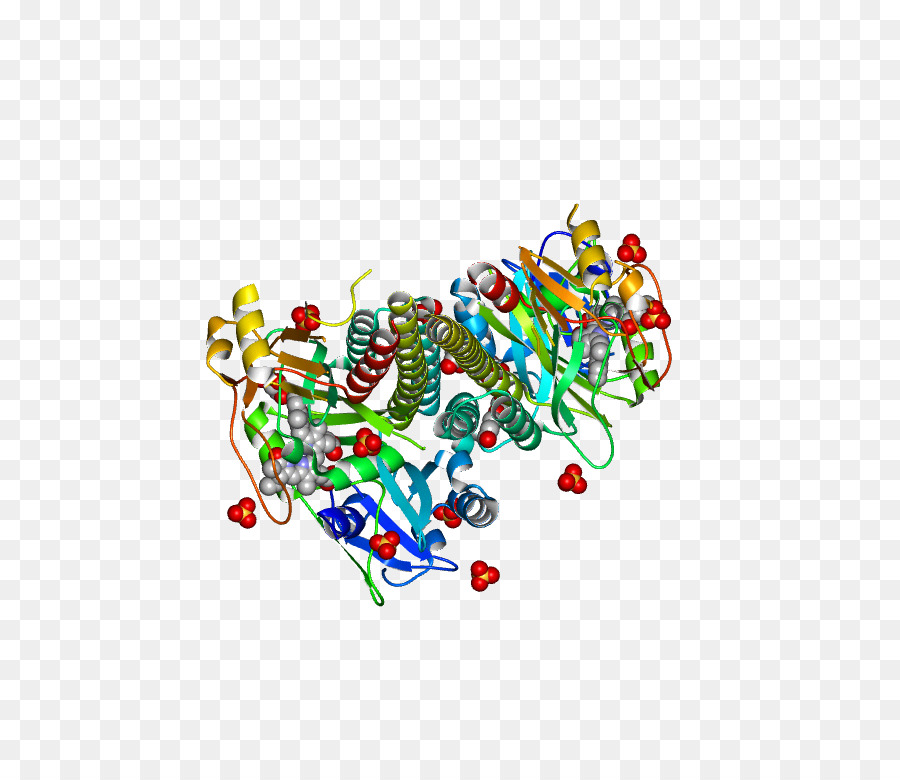 โครงสร้างโปรตีน，โมเลกุล PNG