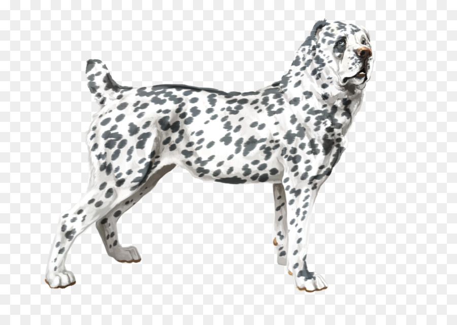 สุนัขพันธุ์，Dalmatian หมา PNG