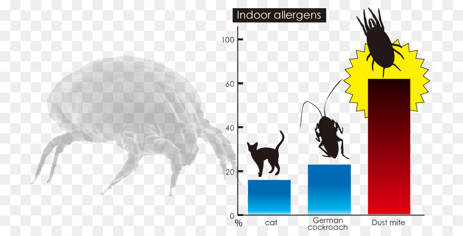 แมว，บ้านฝุ่น Mite PNG