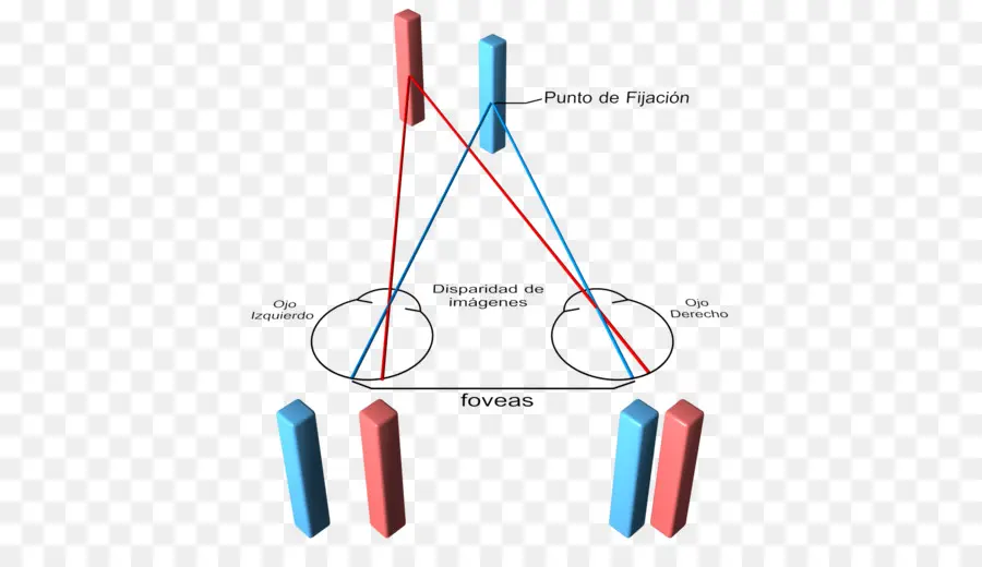 แผนภาพการมองเห็น，ตา PNG