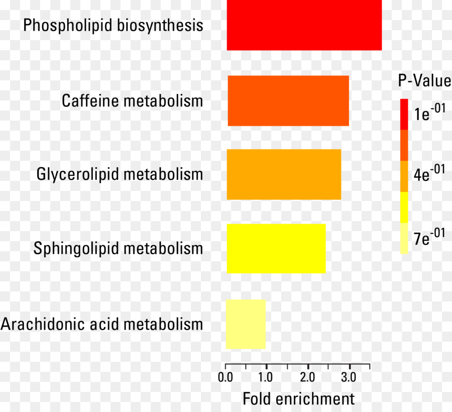 Metabolomics，Lipidomics PNG