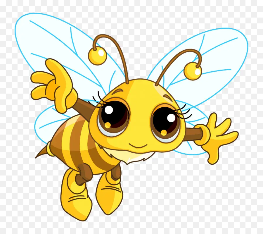 ที่ผึ้ง，บี PNG