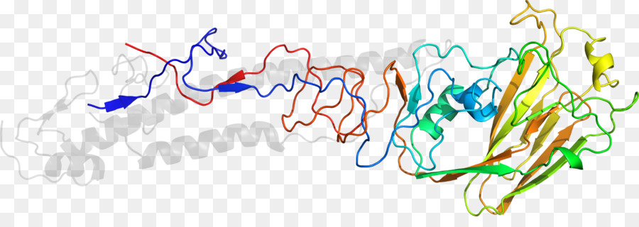 โครงสร้างโปรตีน，โมเลกุล PNG