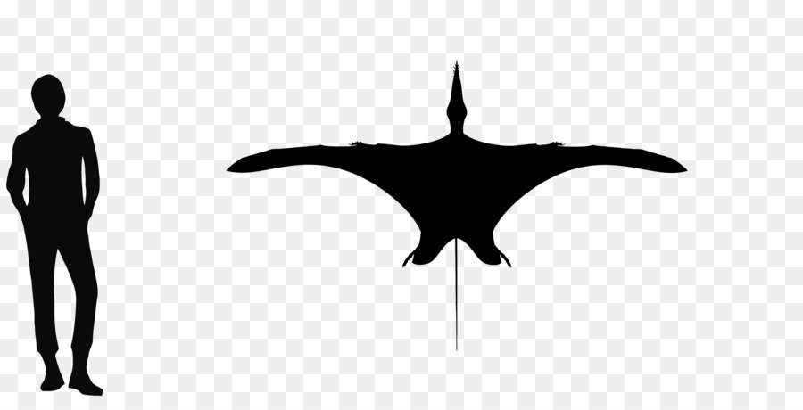 ภาพเงา Pterosaur，ไดโนเสาร์ PNG