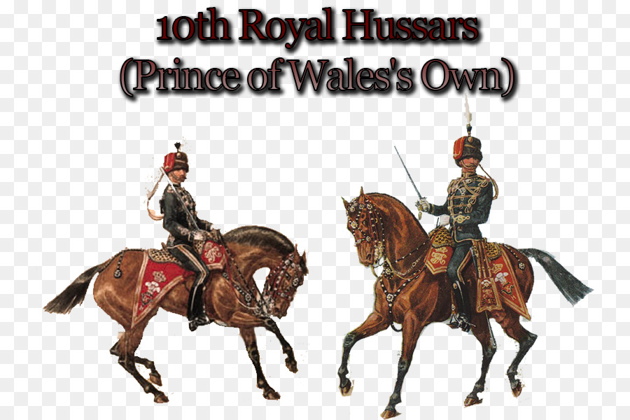 10 เชื้อพระวงศ์ Hussars，โปแลนด์ Hussars PNG