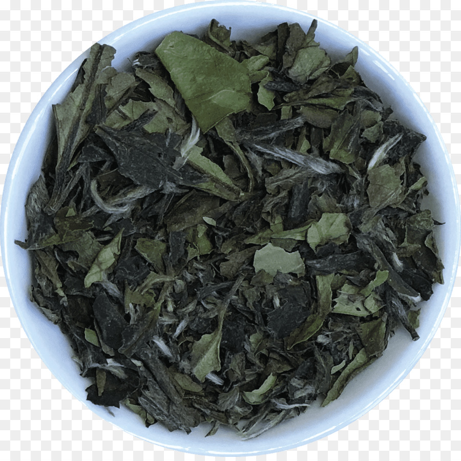 Gyokuro，Nilgiri ชา PNG