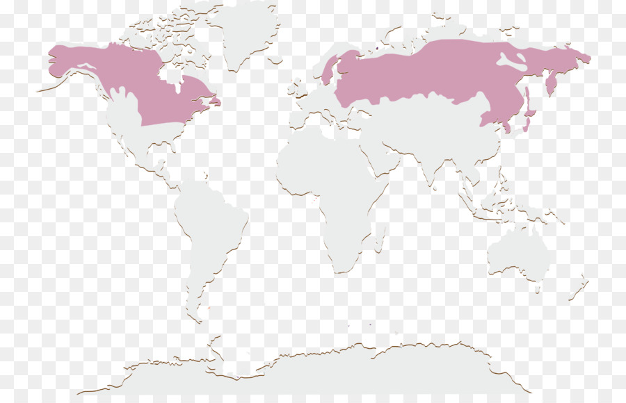 แผนที่โลก，ทวีป PNG