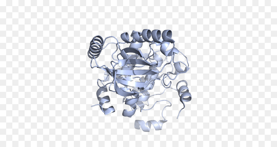 โครงสร้างโปรตีน，โมเลกุล PNG