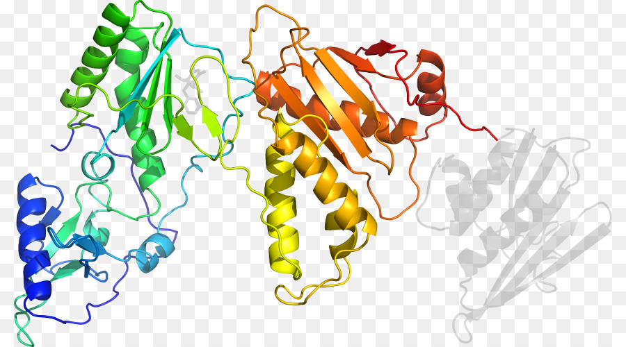 โครงสร้างโปรตีน，โมเลกุล PNG