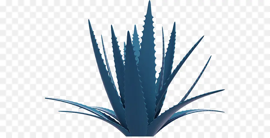 Agave Azul，Los Altos เดอ Mexico_ States Kgm PNG