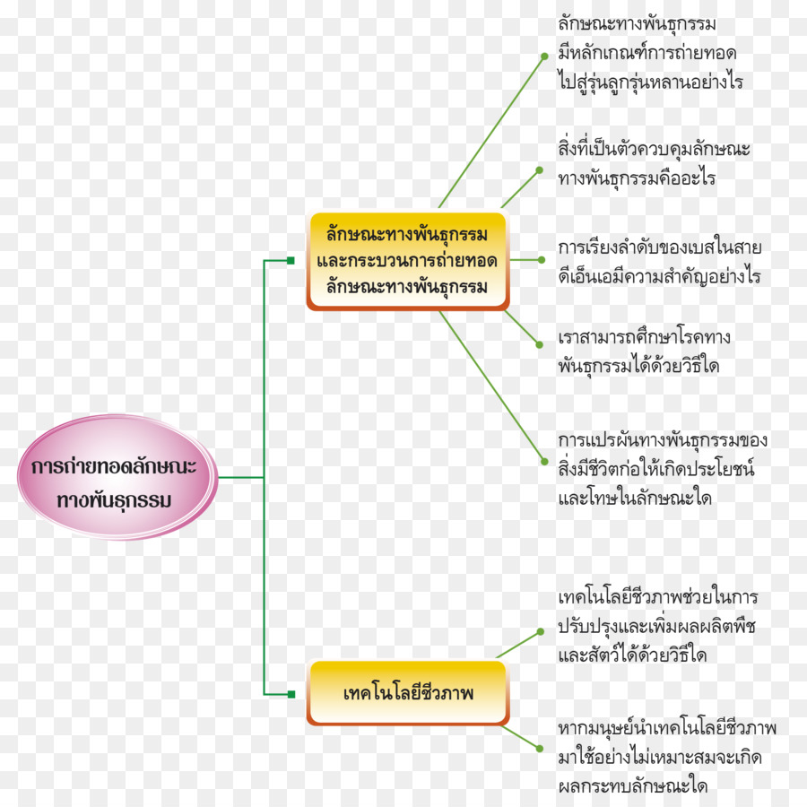 กระดาษ，เส้น PNG