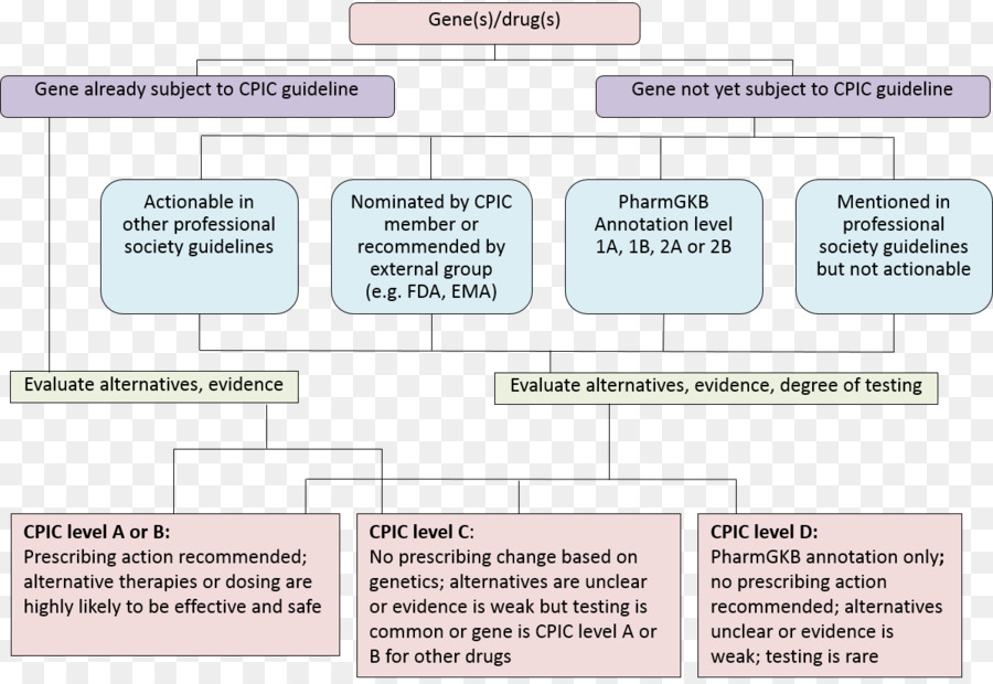 Pharmaceutical ยาเสพติด，Pharmgkb PNG