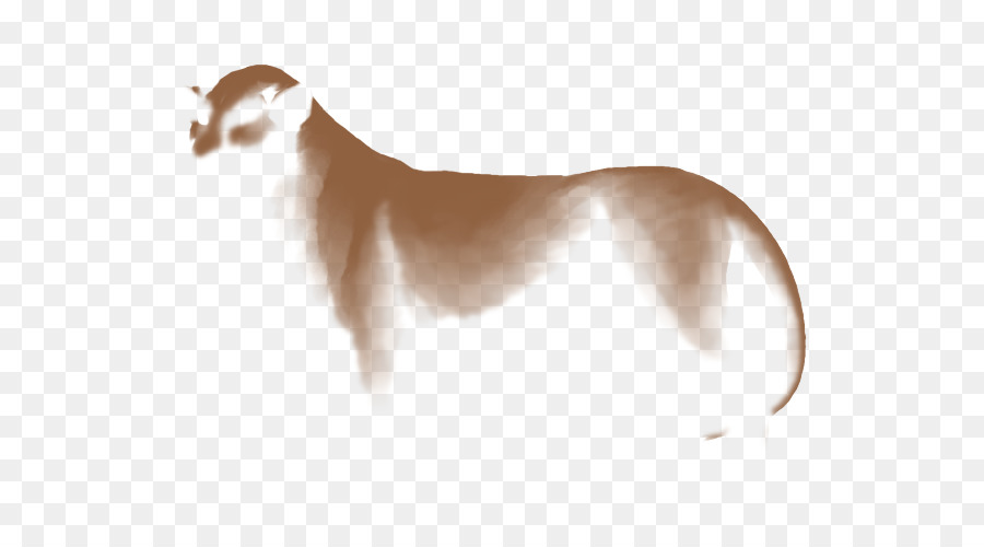 สุนัขพันธุ์，อิตาเลี่ยน Greyhound PNG