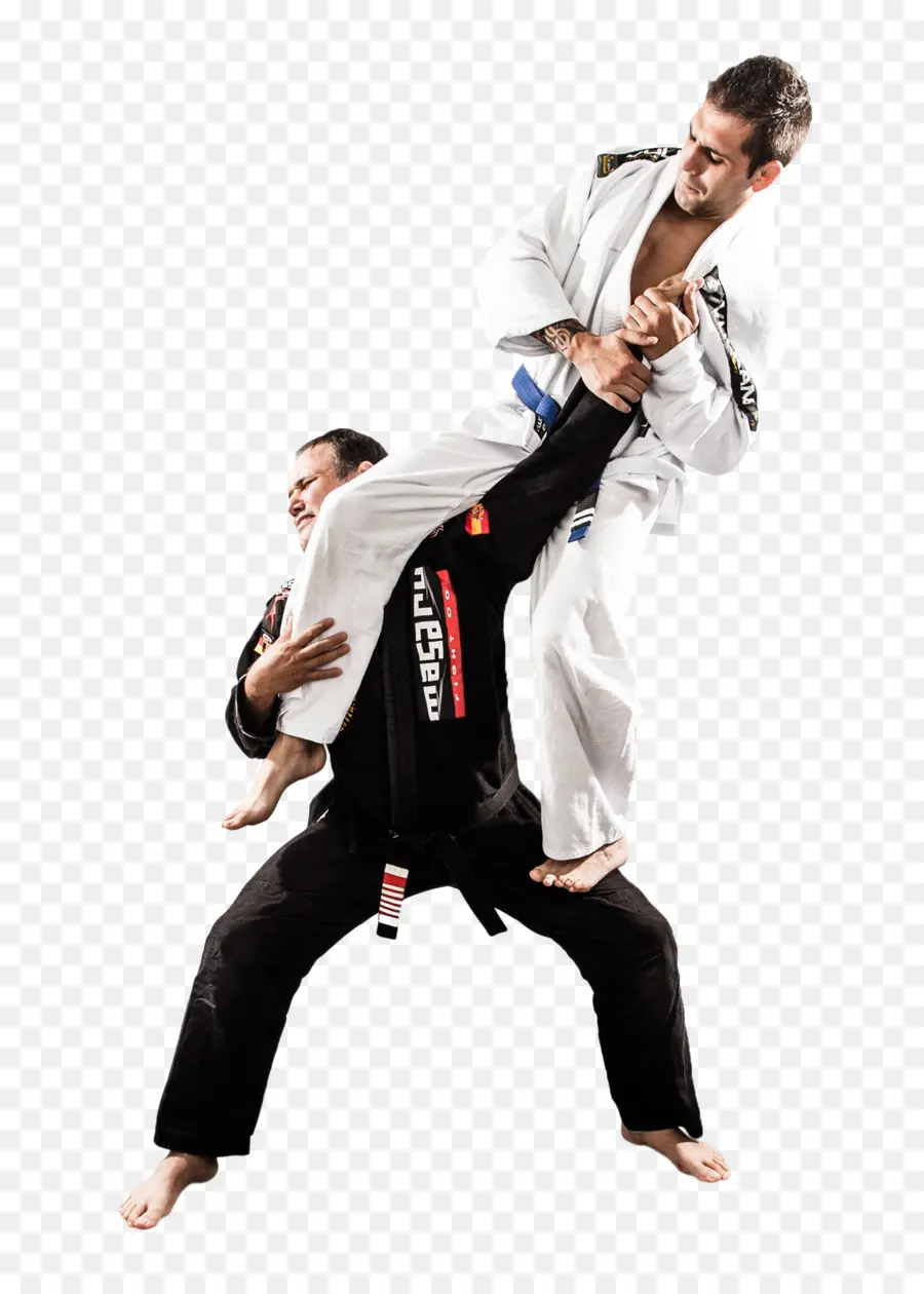 ศิลปะการต่อสู้，Jiu Jitsu PNG