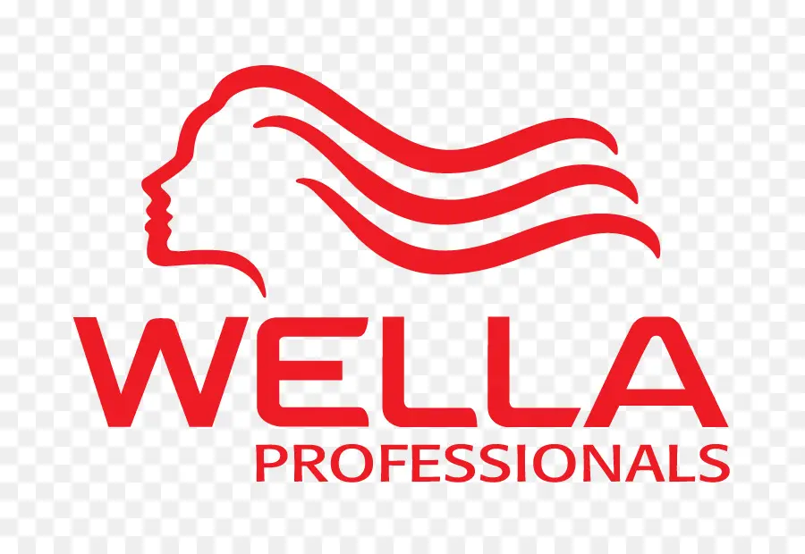 ผู้เชี่ยวชาญด้าน Wella，การดูแลเส้นผม PNG