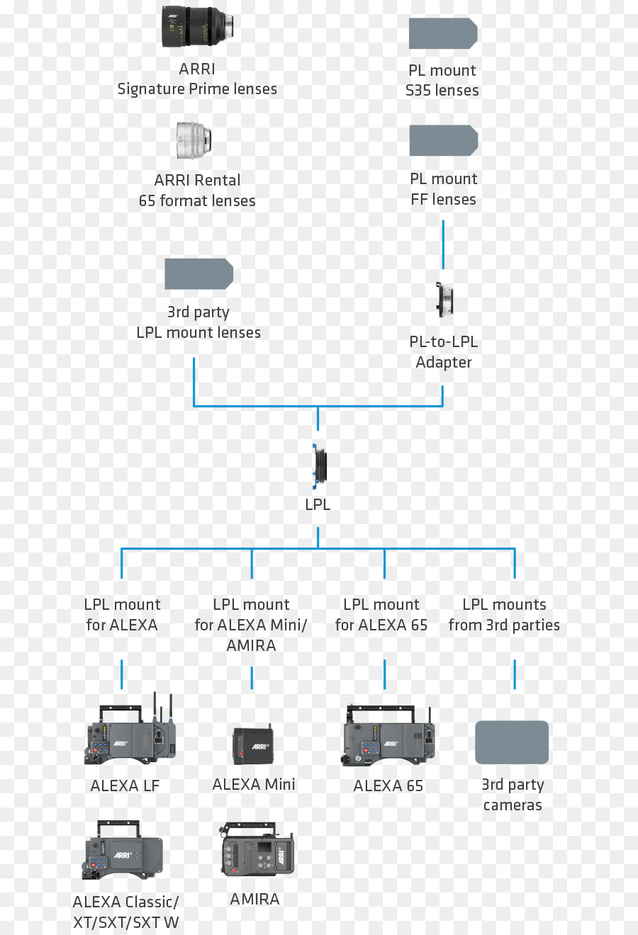 Arri，Arri อเล็กซ่า PNG