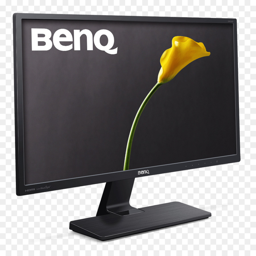 คอมพิวเตอร์จอภาพ，Benq PNG