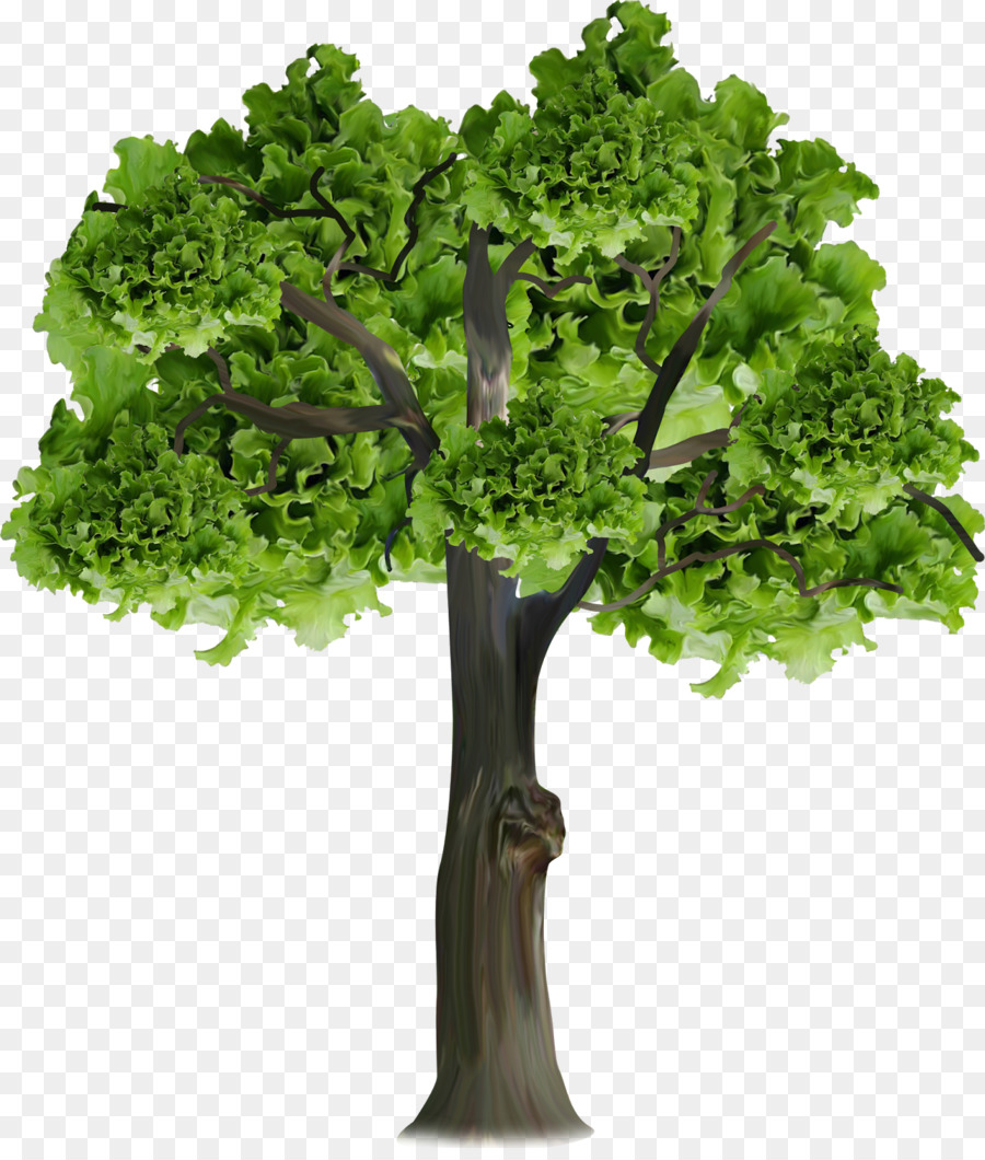ต้นไม้，แบรนซ์ PNG