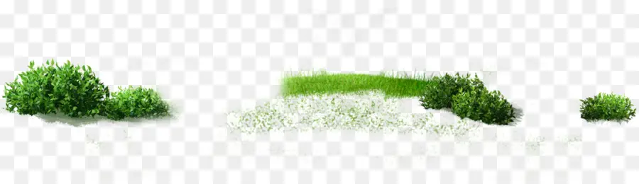 สีเขียว，หญ้า PNG