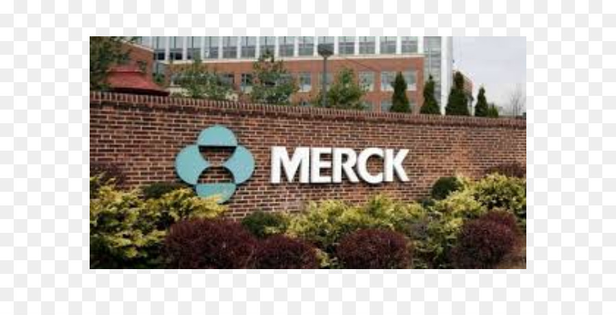 Merck เพื่อนร่วม，Merck ตึกสำนักงานใหญ่ PNG