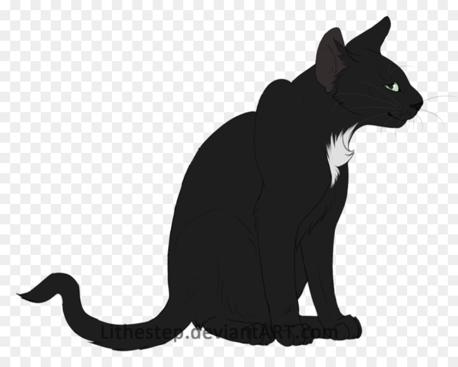 แมวดำ，ลูกแมว PNG