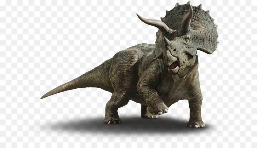 Triceratops，ก่อนประวัติศาสตร์ PNG