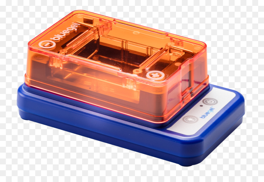 Polymerase ปฏิกิริยาลูกโซ่，Electrophoresis PNG