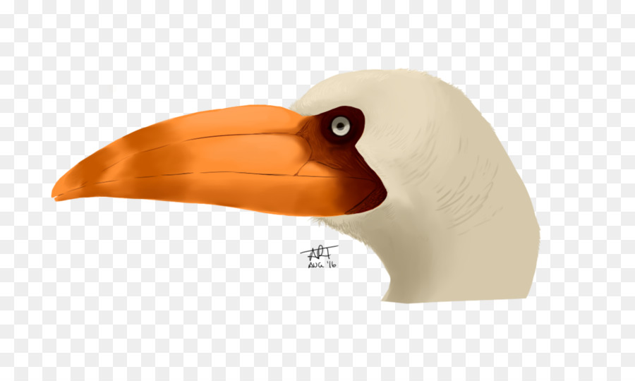 นก，ไดโนเสาร์เต่าล้านปี PNG