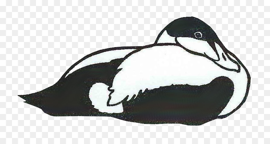 เป็ด，กเพนกวินตบเพนกวิน PNG