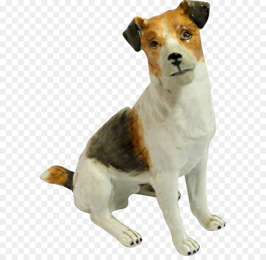 Bull Terrier，สุนัข PNG