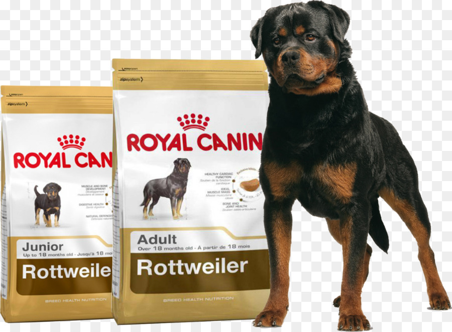 Rottweiler，สุนัข PNG