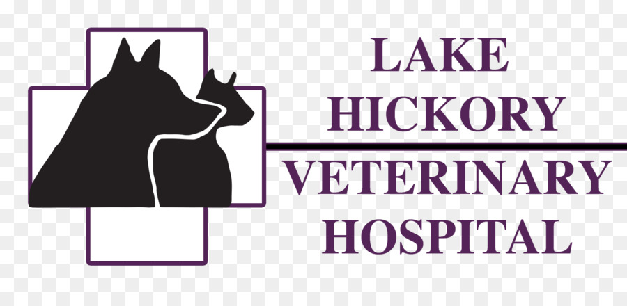 ทะเลสาบ Hickory Veterinary โรงพยาบาล，สัตวแพทย์ PNG
