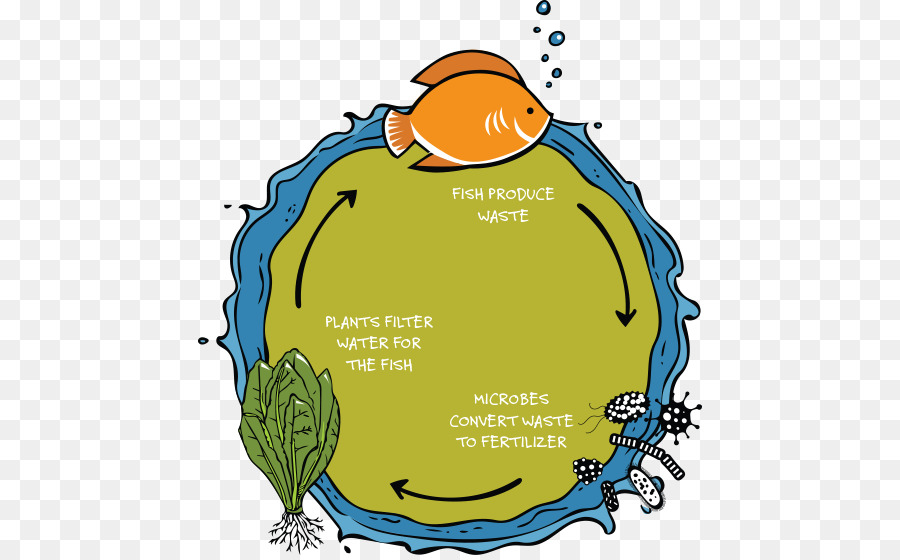 ไดอะแกรม Aquaponics，ปลา PNG