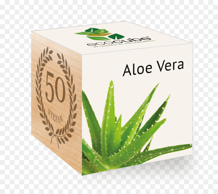 Aloe นบอกเวียร่าที่รัก，ต้นไม้ PNG